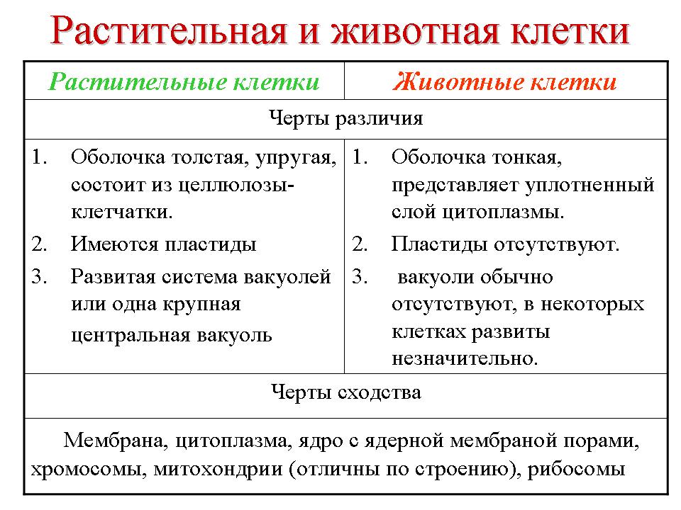 В чем особенности проспекта и чем он отличается от улицы и бульвара? - копицентр