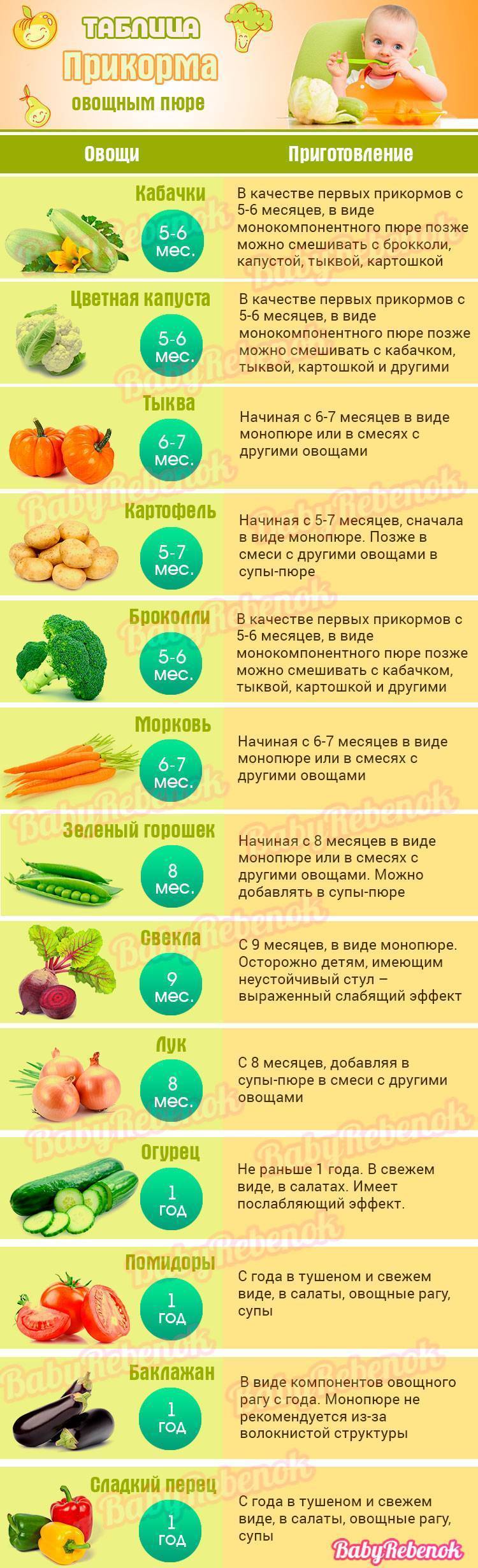 Прикорм овощи | какие овощи можно использовать в качестве прикорма
