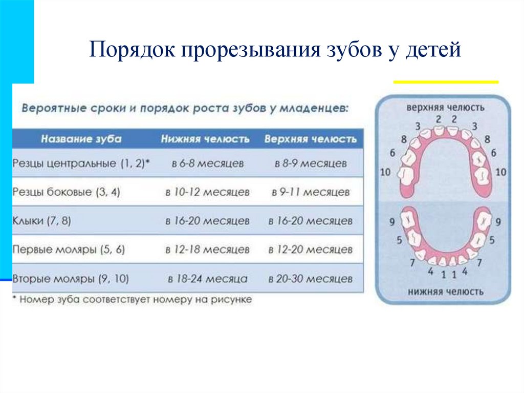 Температура при прорезывании зубов у детей: причины, сколько дней держится и как ее снизить?