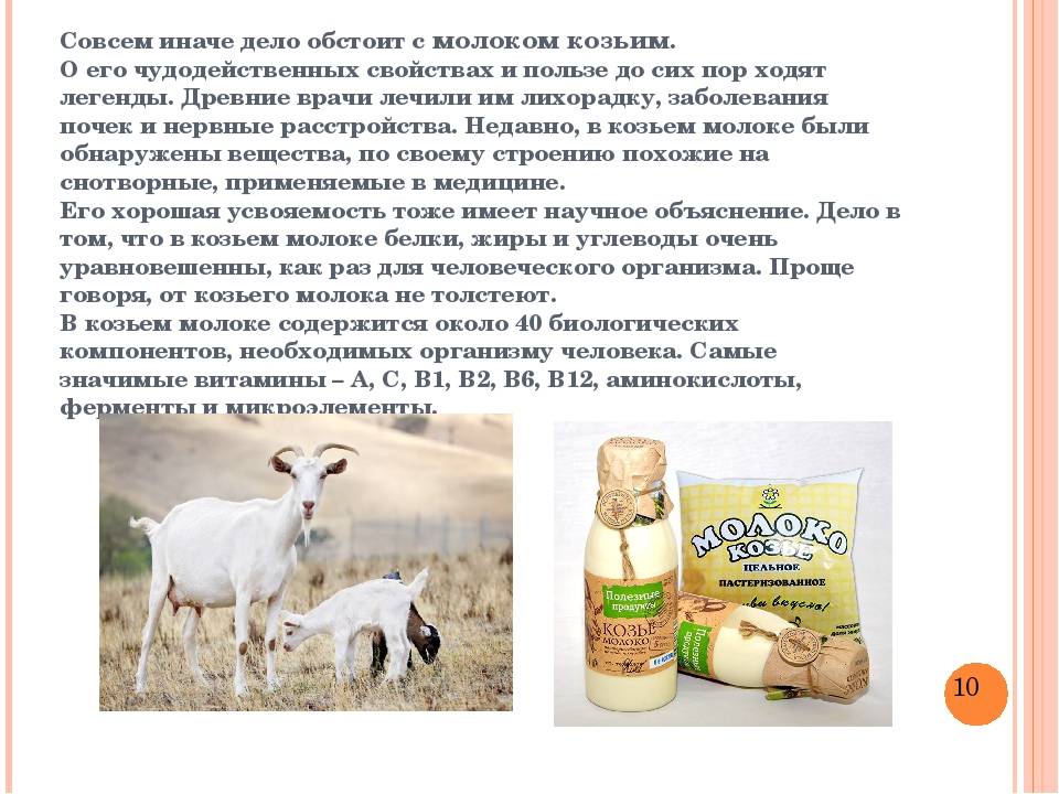 Козье молоко для детей и грудничков: с какого возраста давать, как разводить и нужно ли кипятить — польза и вред для ребенка от каш — moloko-chr.ru