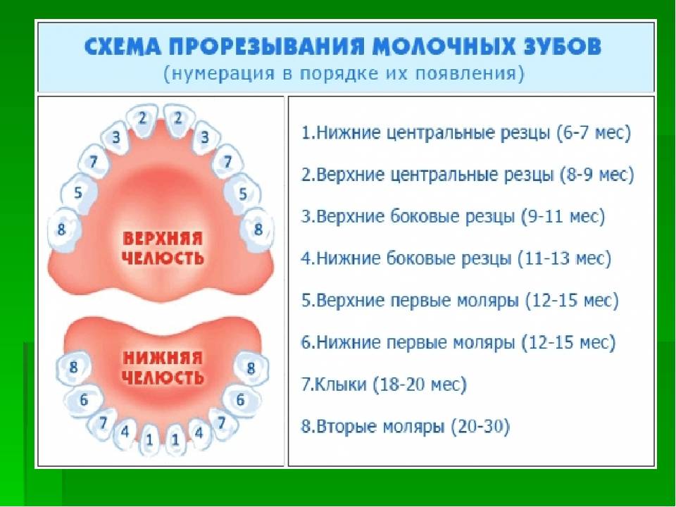 Комаровский: при прорезывании зубов у ребенка могут быть сопли насморк