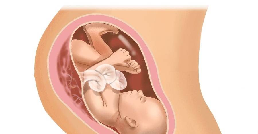 36 неделя беременности: что происходит с малышом и мамой