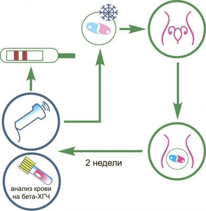 Когда можно повторить попытку после неудачного эко?