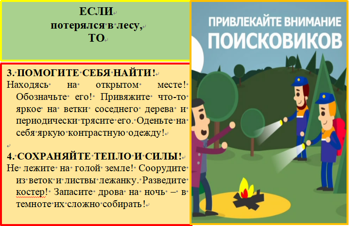 Ребёнок потерялся в лесу: как искать и предотвратить: советы для родителей