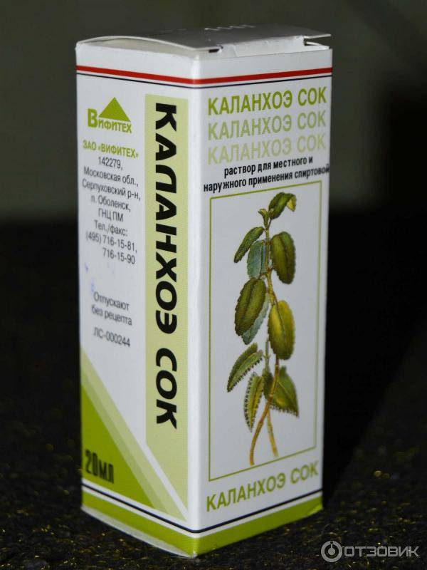 Каланхоэ от насморка детям: как и с какого возраста можно закапывать в нос?