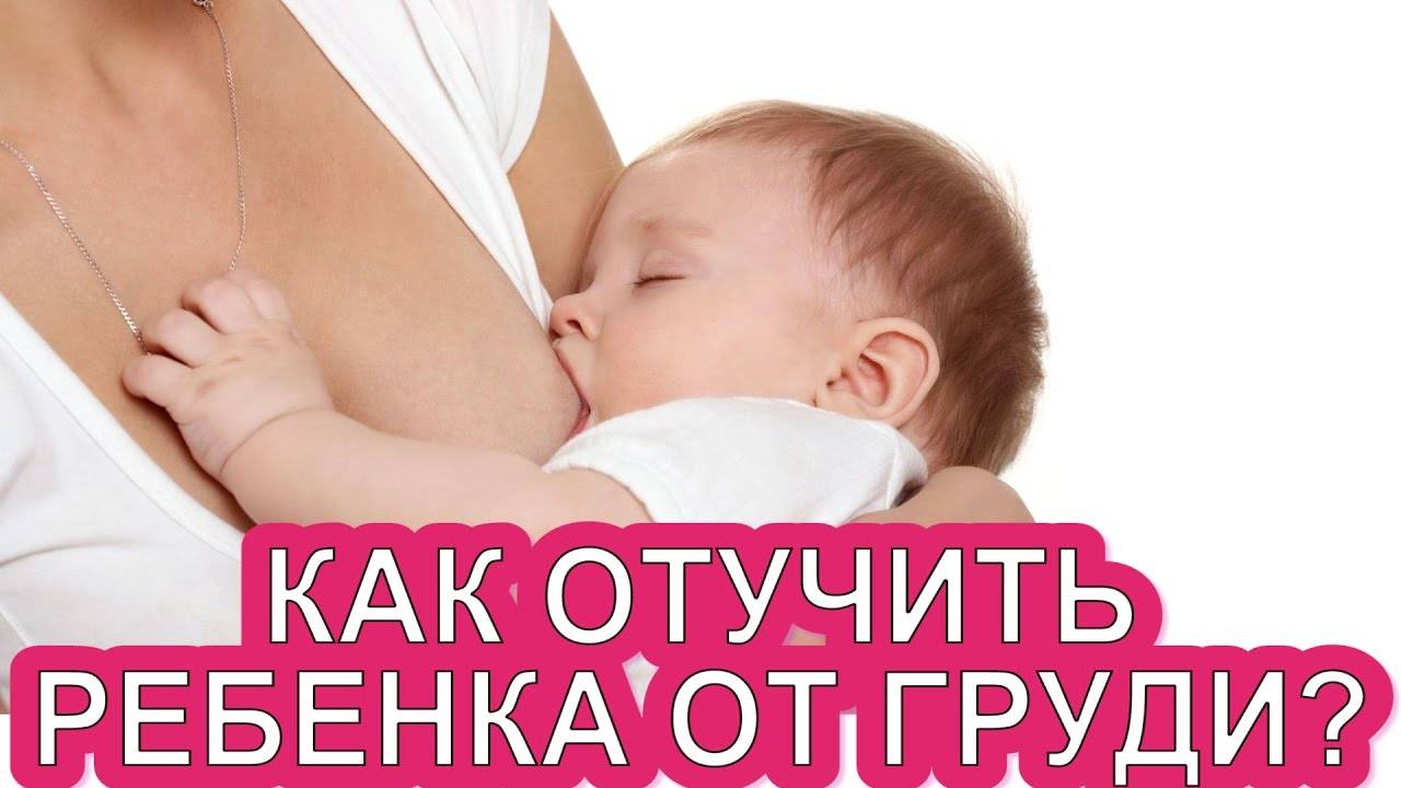 Как правильно отучить ребенка от грудного вскармливания