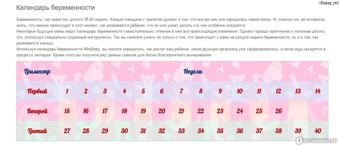 Календарь беременности по неделям, месяцам и триместрам - рассчитать онлайн / mama66.ru