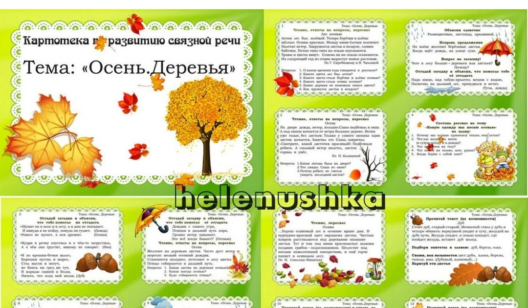 Картотека бесед на экологическую тему – о чем поговорить с детьми?