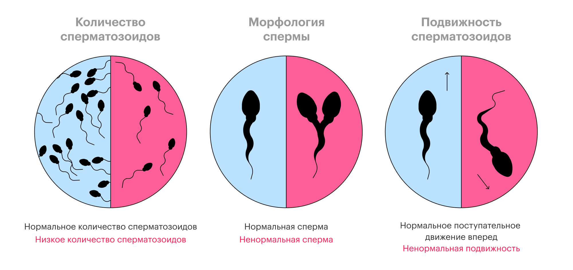 Факторы, влияющие на качество спермы | plan-baby.ru