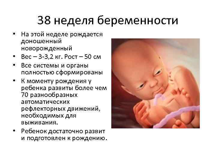Во сколько недель рожают первого ребенка - детская городская поликлиника №1 г. магнитогорска