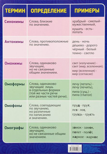 Синонимы антонимы омонимы паронимы: что это такое