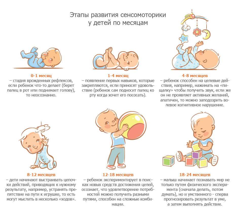 Что умеет ребенок в 8 месяцев: развитие малыша :: syl.ru