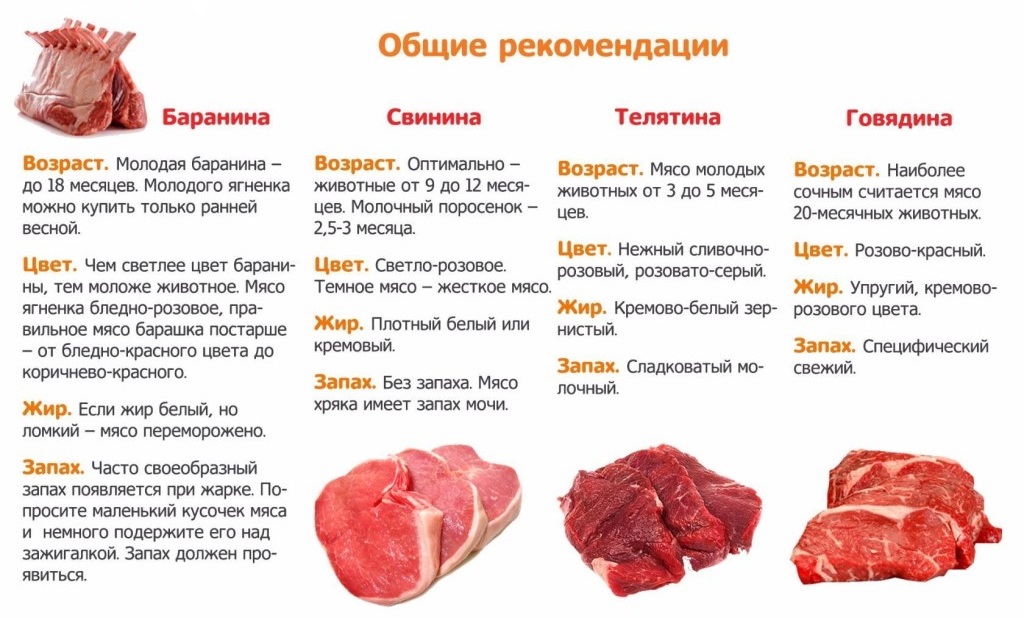 Мясное пюре из говядины, курицы, печени для грудничка в домашних условиях