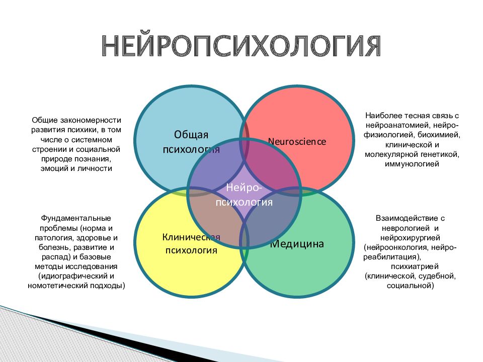 Урок 3. психология и педагогика. принципы эффективного обучения