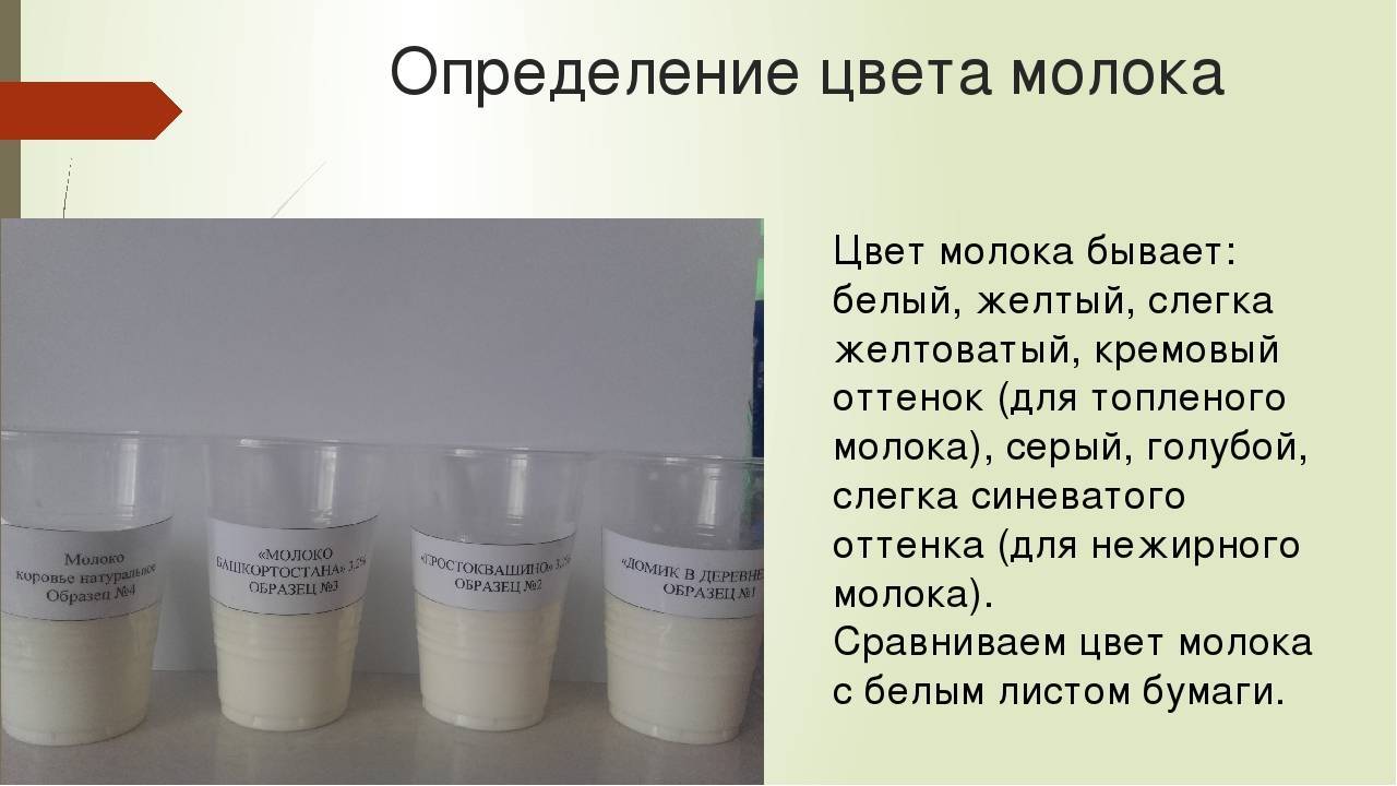 Молоко воняет. Определение цвета молока. Грудное молоко цвет. Нормальный цвет грудного молока. Какого цвета бывает молоко.