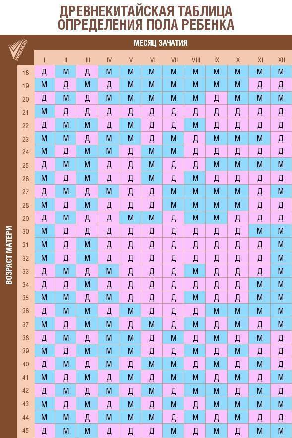 Как определить пол ребенка — 5 примет и их толкование