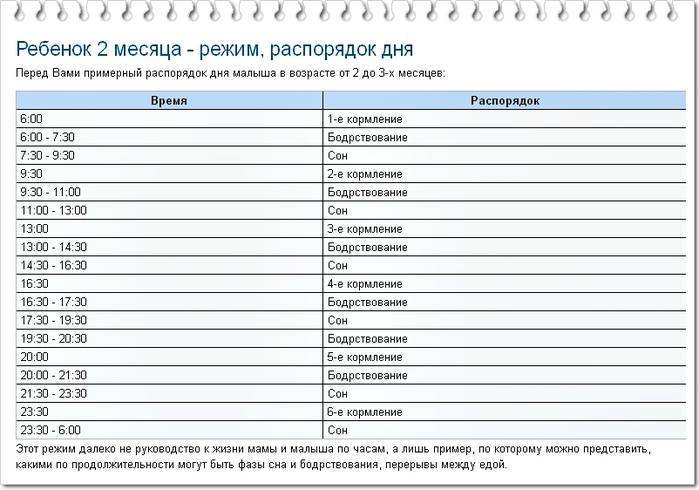 Режим дня ребенка до года - режим кормления и сна малыша до года - agulife.ru