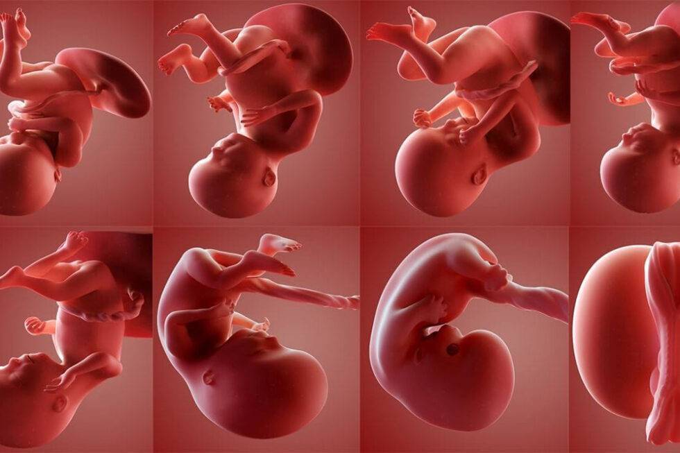 Первые признаки беременности на ранних сроках: в первые дни, на первой неделе