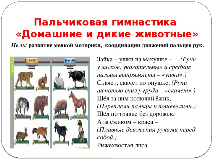 25 пальчиковых игр на развитие мелкой моторики
