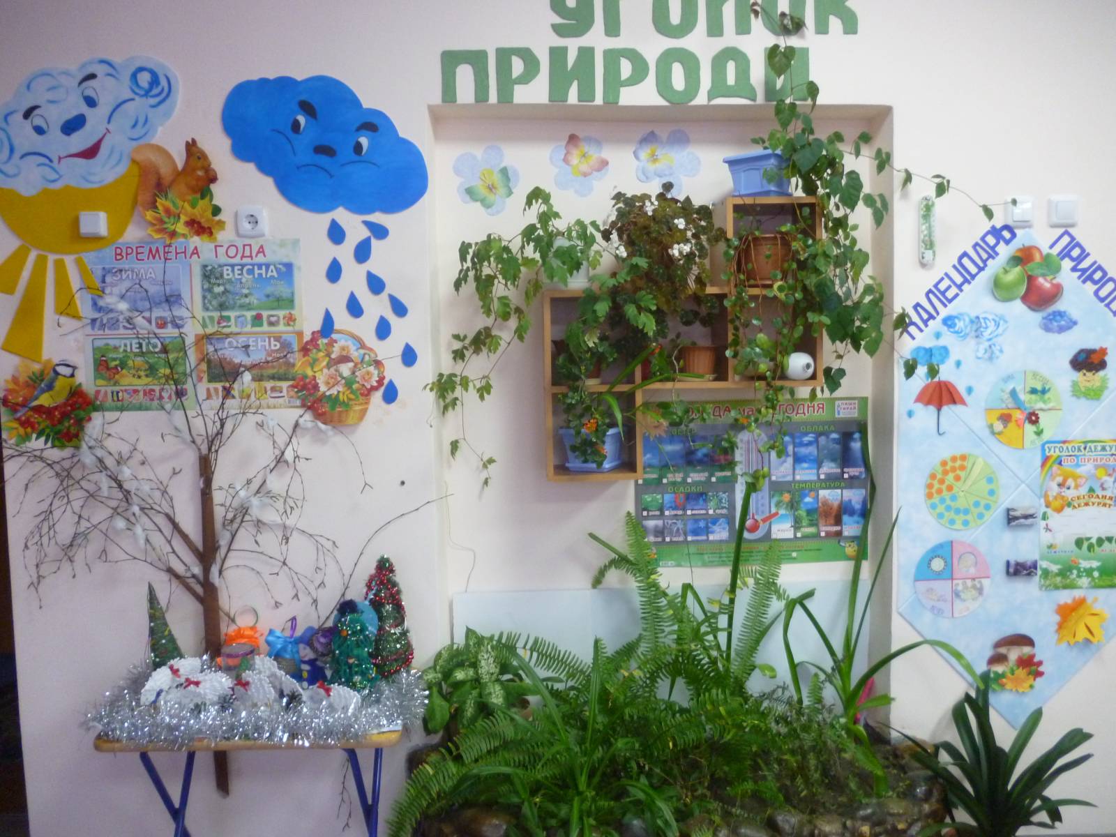 Рекомендации воспитателям по оформлению "уголка природы" в детском саду | 
мдоу «детский сад №32», г. саранск