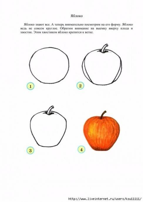 Рисовать фрукты и овощи карандашом — детки-конфетки