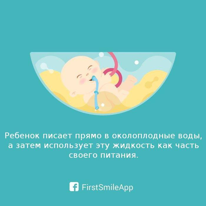 10 забавных фактов о ребенке во время беременности + мифы