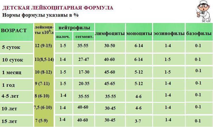 Норма лимфоцитов в крови у ребенка