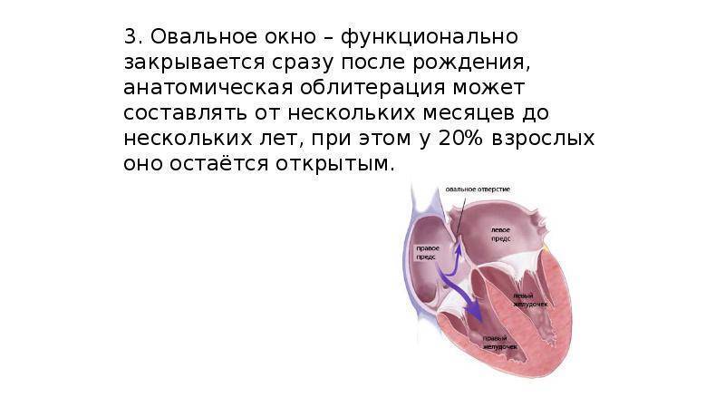 Овальное окно у детей. Открытое овальное окно у новорожденных 5мм. Овальное окно в сердце. Открытое овальное окно закрытие. Овальное окно закрывается.