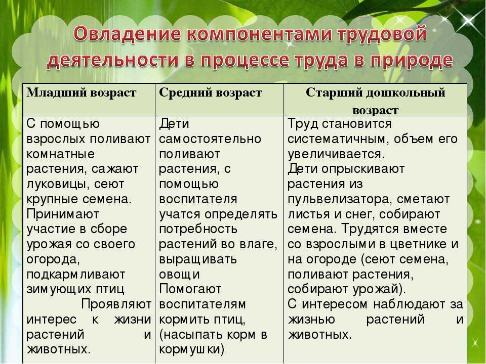 Трудовая деятельность в старшей группе детского сада, конспект поручений, картотека дежурства