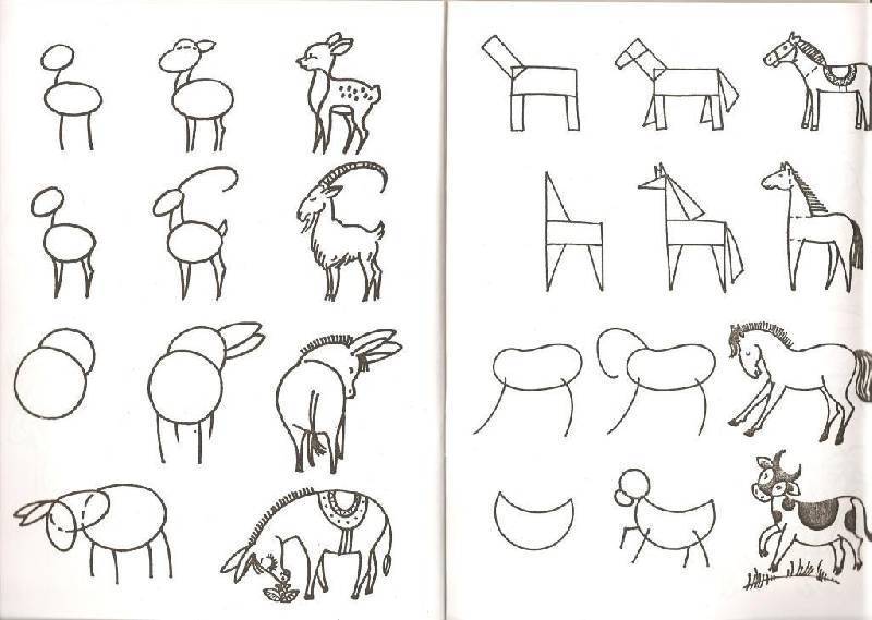 Красивые рисунки животных карандашом: простые, для детей, срисовки. медведь, слон, лиса. мастер-классы для начинающих + 105 фото