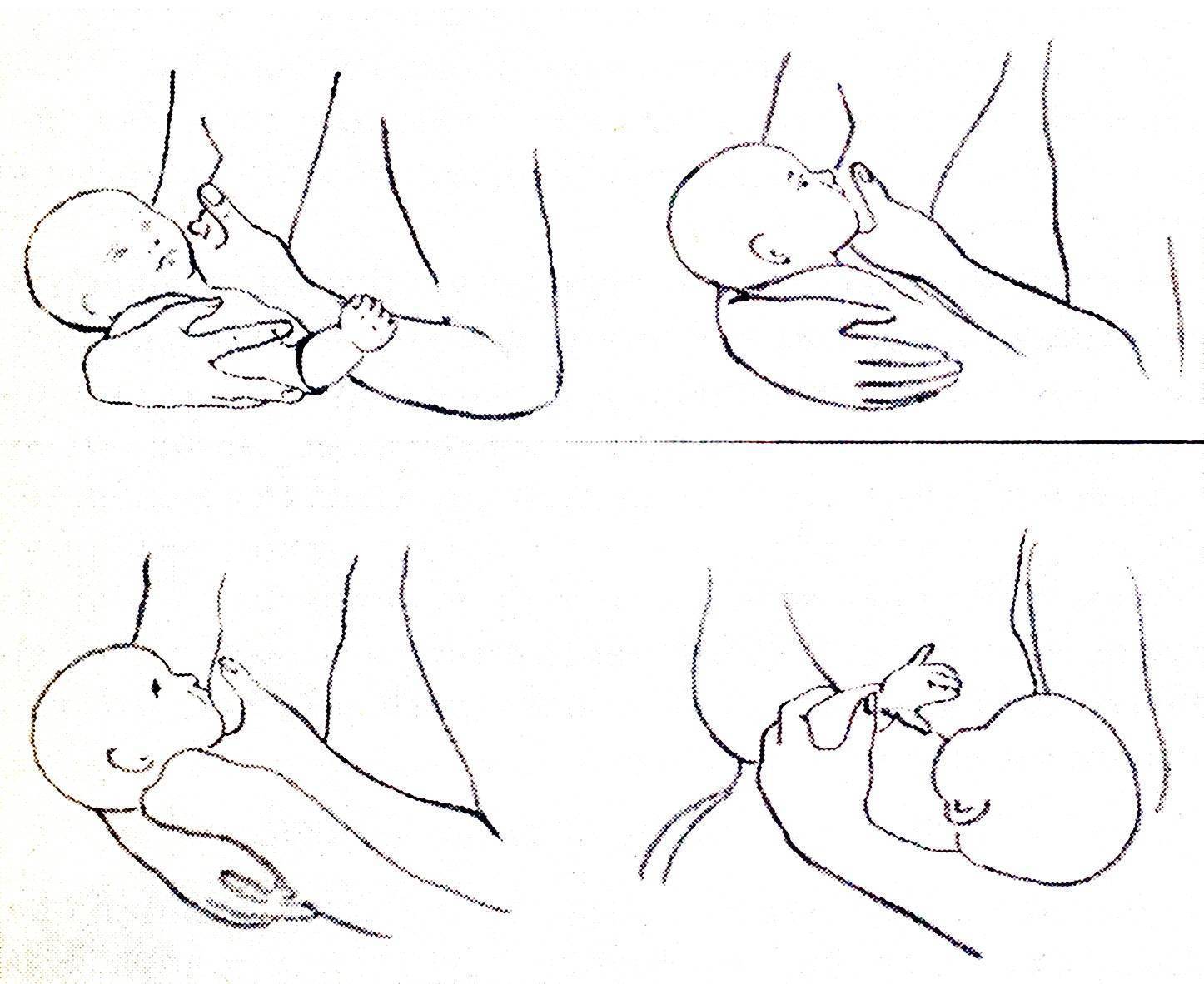 12 дельных рекомендаций, как приучить ребенка к груди и вернуть грудное вскармливание