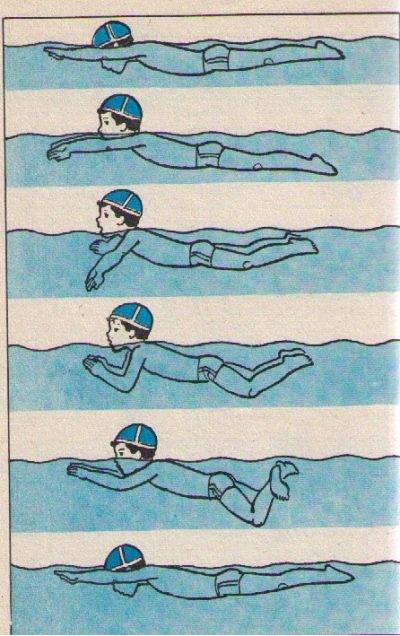 Как научиться быстро плавать: взрослому, подростку и ребенку, кролем, брассом, баттерфляем, под водой и на спине