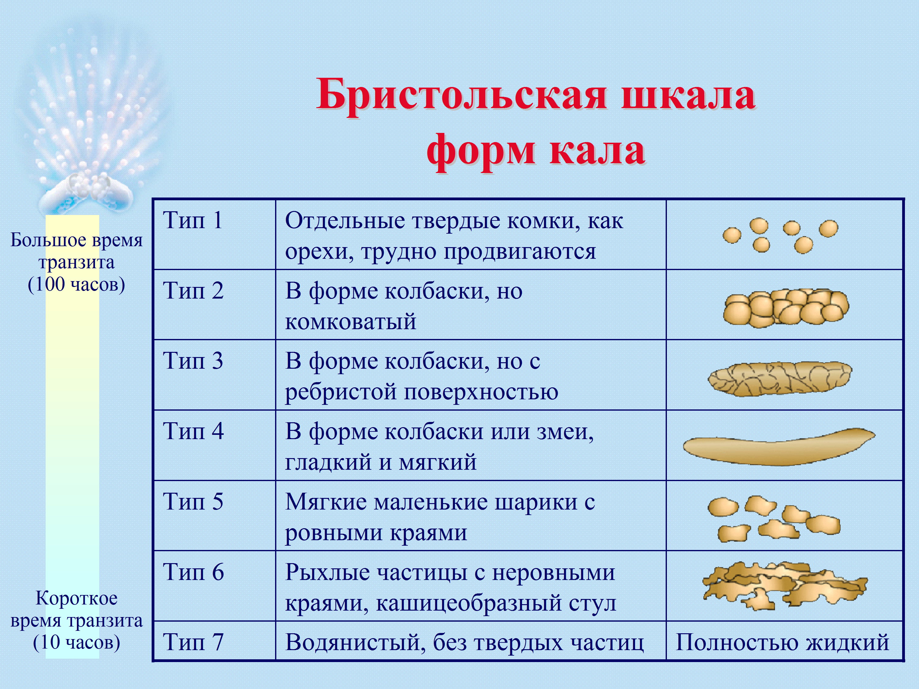 Бристольская шкала оценки кала