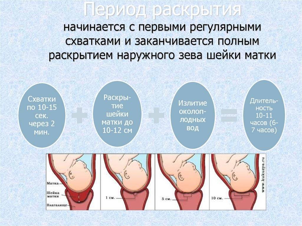 Особенности третьих родов: почему их называют лёгкими и в какие сроки готовиться рожать