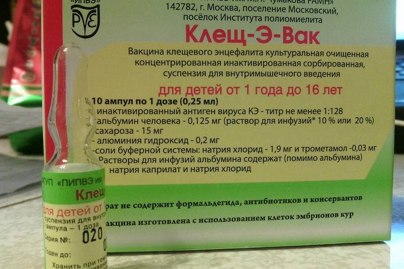 Прививка от клещевого энцефалита детям: отзывы