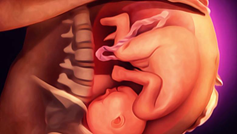 34 неделя беременности: что происходит с мамой и малышом, как выглядит плод?