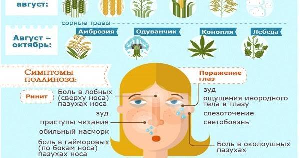 Аллергия на растения: симптомы и лечение