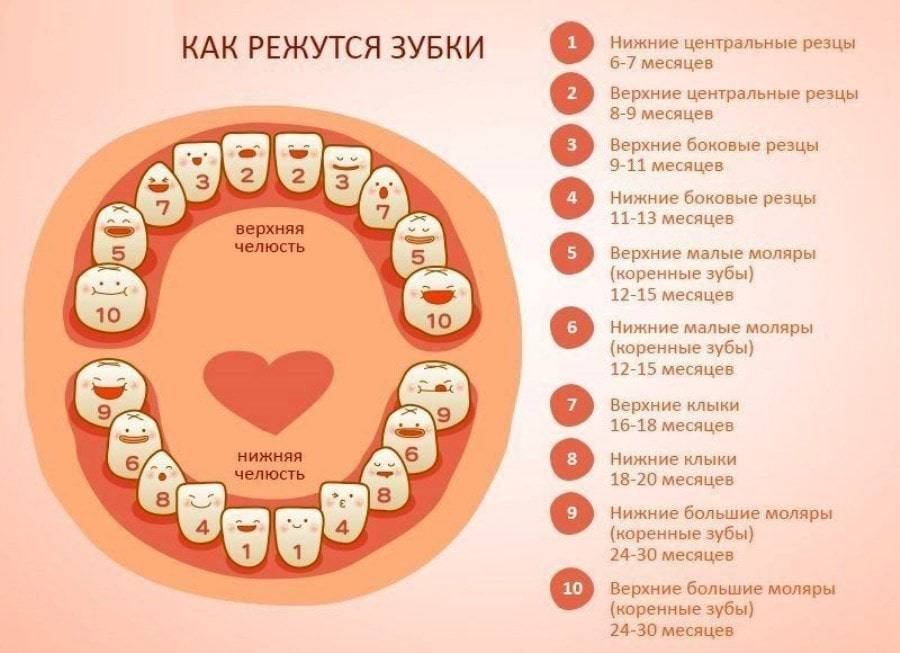 Зубы у детей