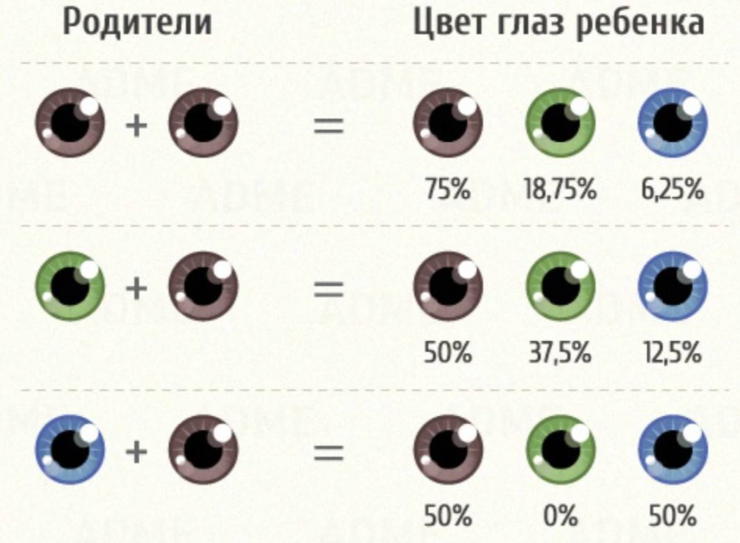 Какие глаза будут у ребенка: как определить цвет по специальной таблице?