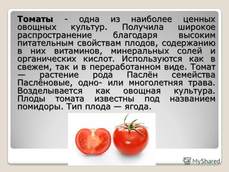 Tomate histamina