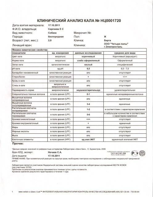 Копрограмма на дисбактериоз