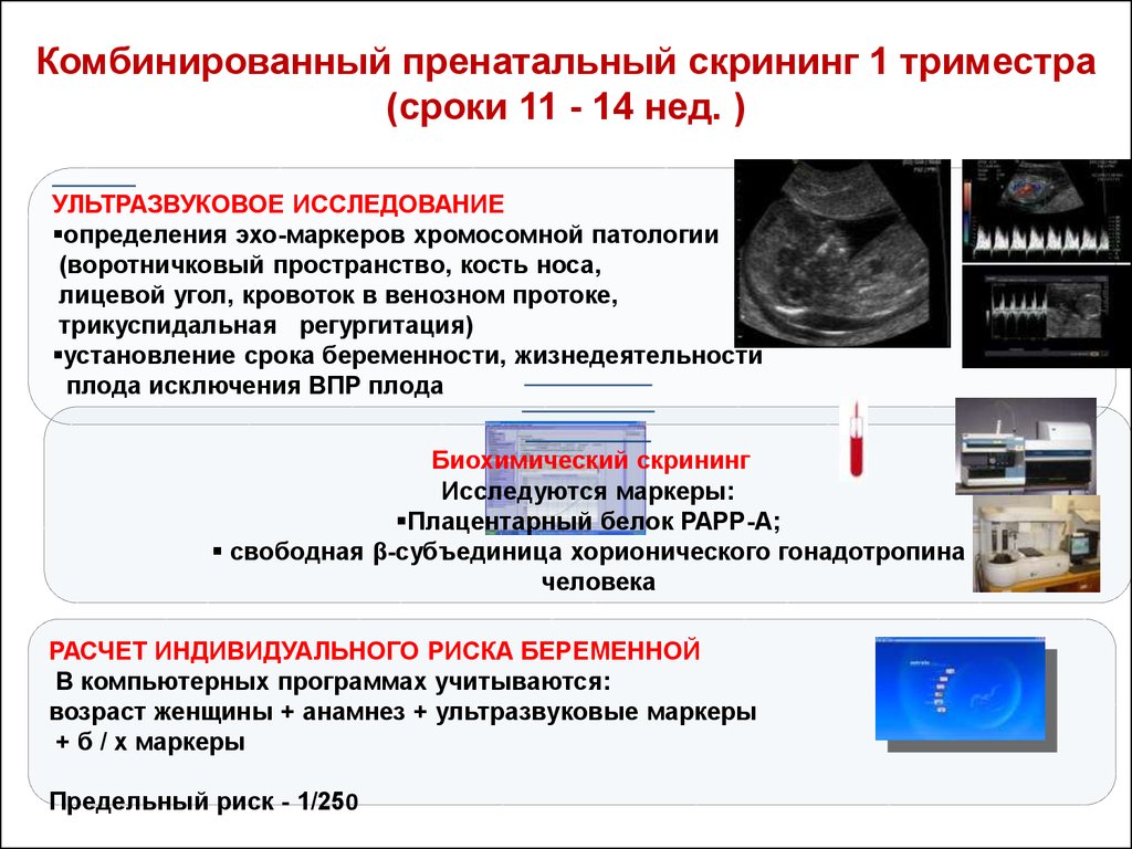Скрининг при беременности: все об узи беременных
