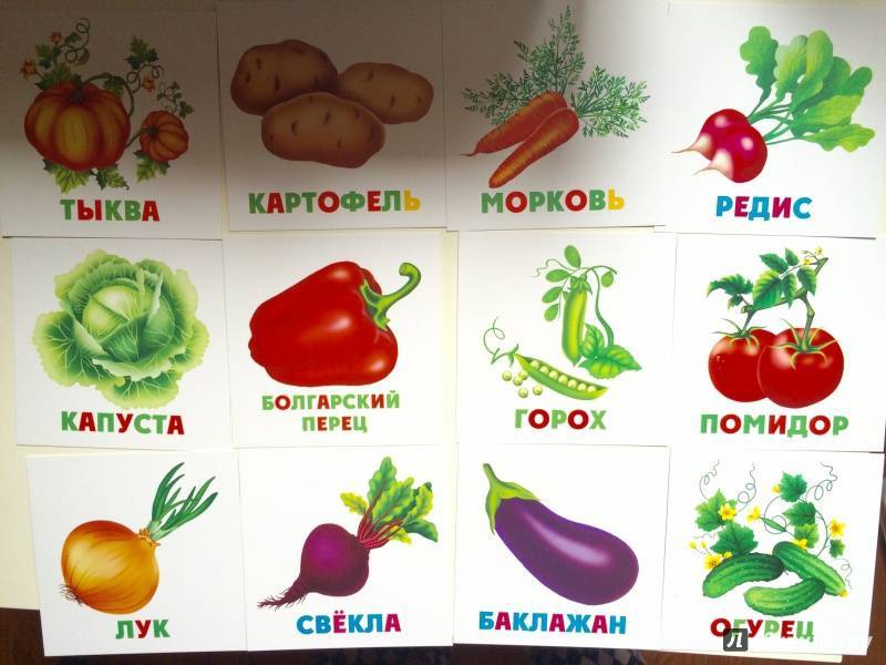 Карточки домана — скачайте пособие для развития детей с пеленок