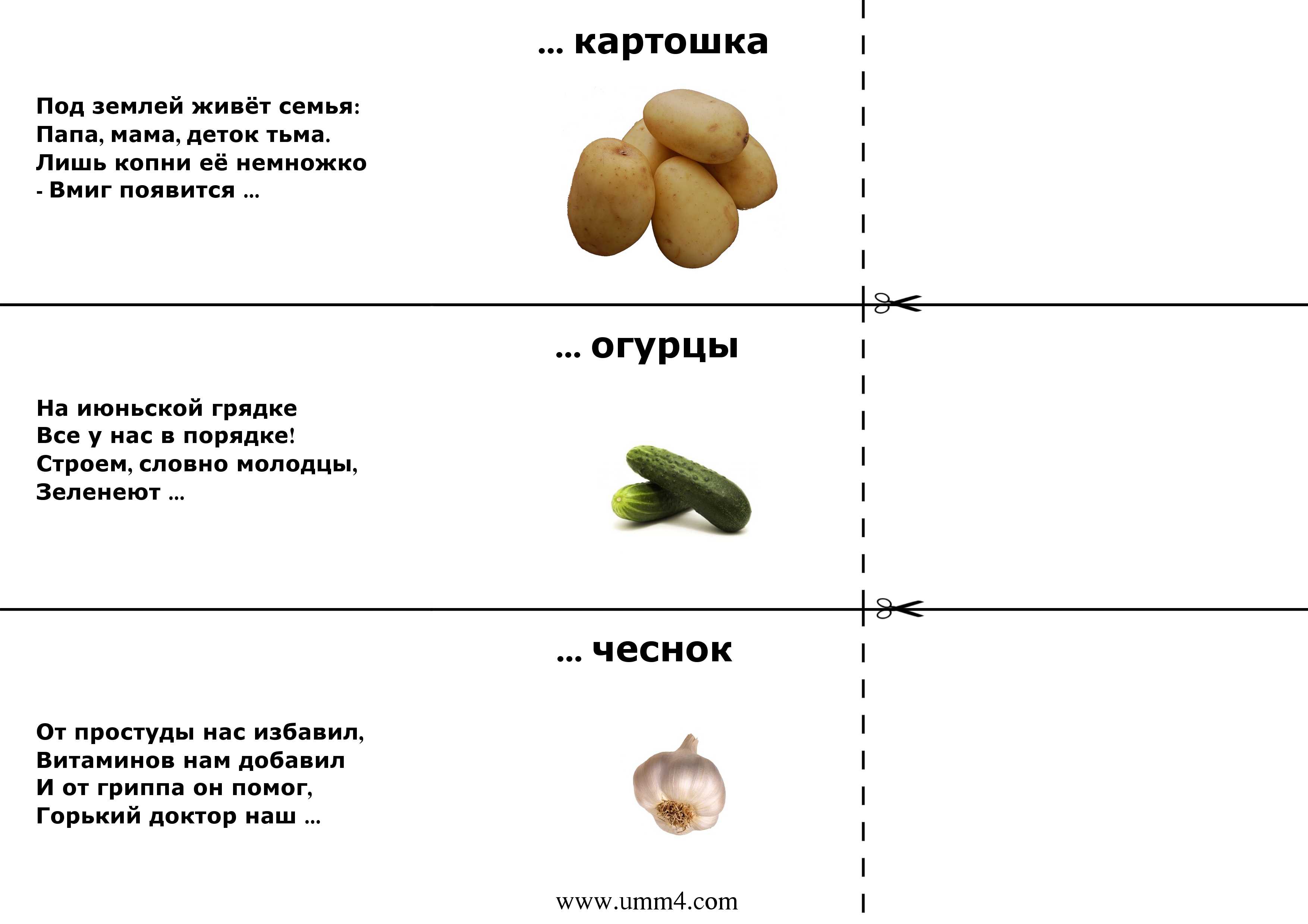 Легкие загадки для детей 5-6 лет с ответами