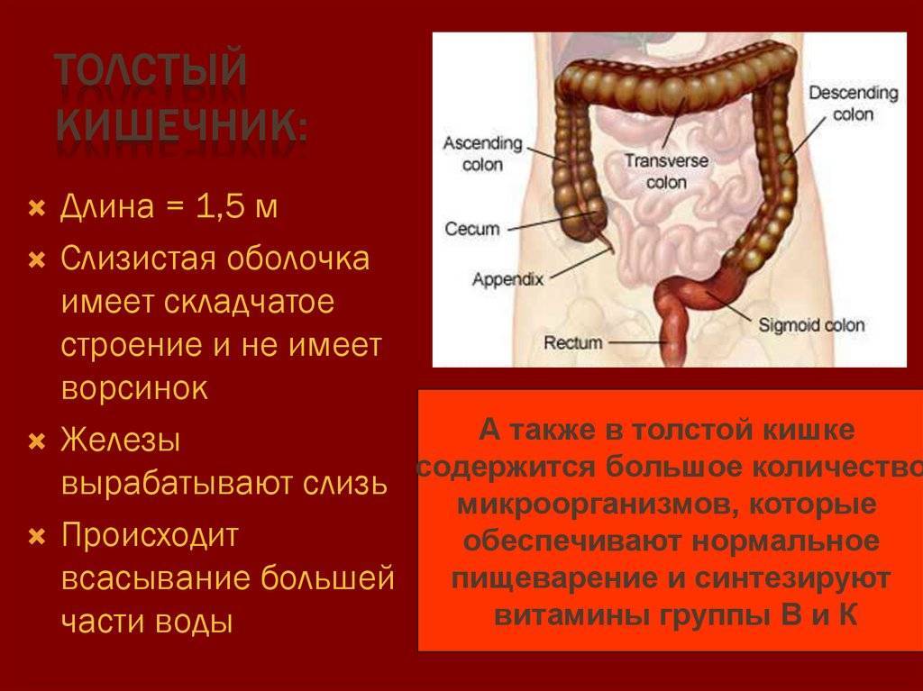 Колоректальный форум