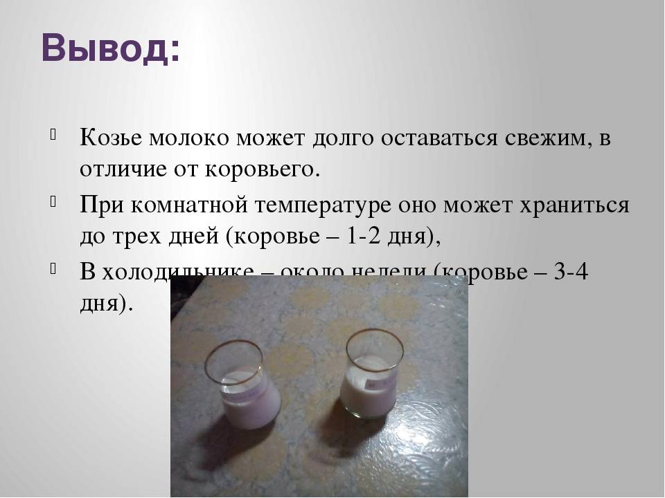 Можно ли кормить грудного ребенка козьим молоком, с какого возраста и как