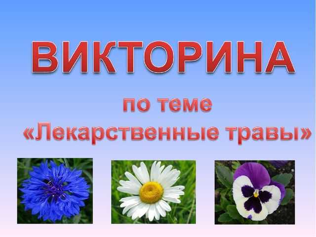 Викторина о лекарственных растениях для начальной школы с ответами