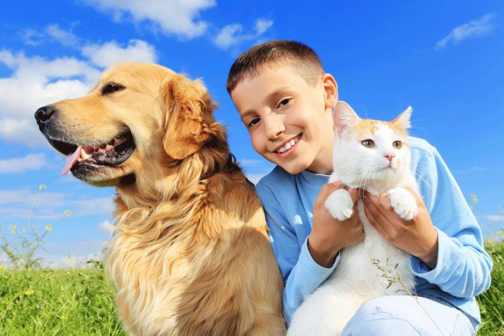 Польза домашних животных для детей