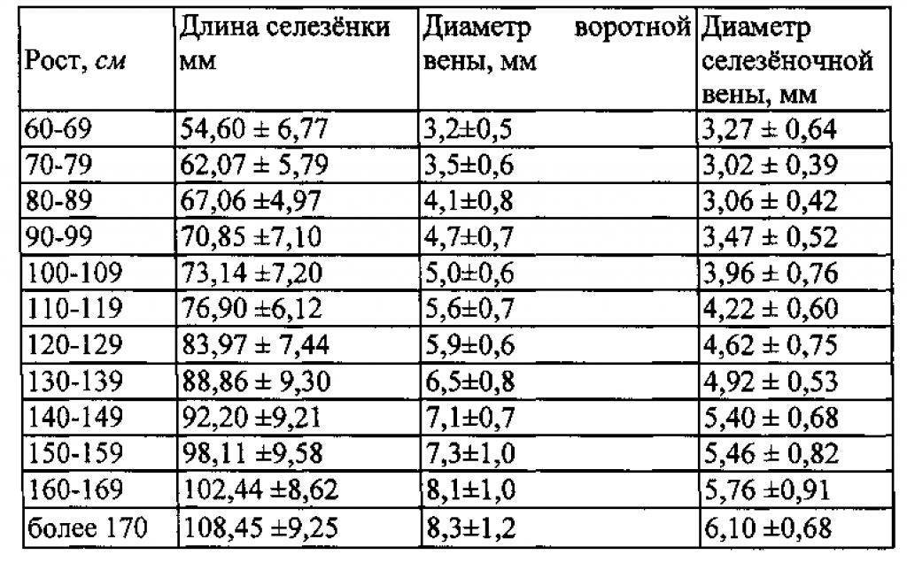 Нормы толщины. Площадь селезенки на УЗИ норма. Площадь селезенки норма у взрослых по УЗИ см2. Размер селезенки норма у ребенка 7 лет. Нормы размеров селезенки при УЗИ У взрослых.