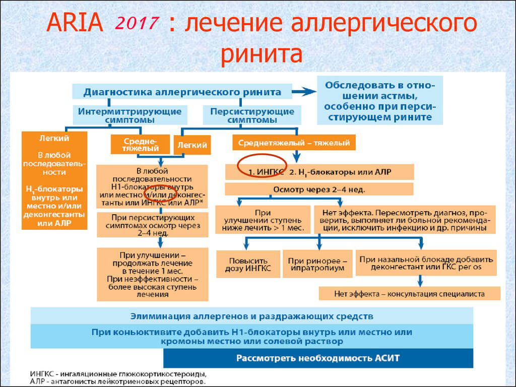 Аллергический ринит у детей: причины и лечение - развитие ребенка